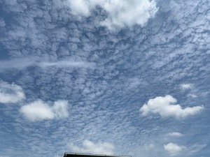 雨の雲と朝ドラと